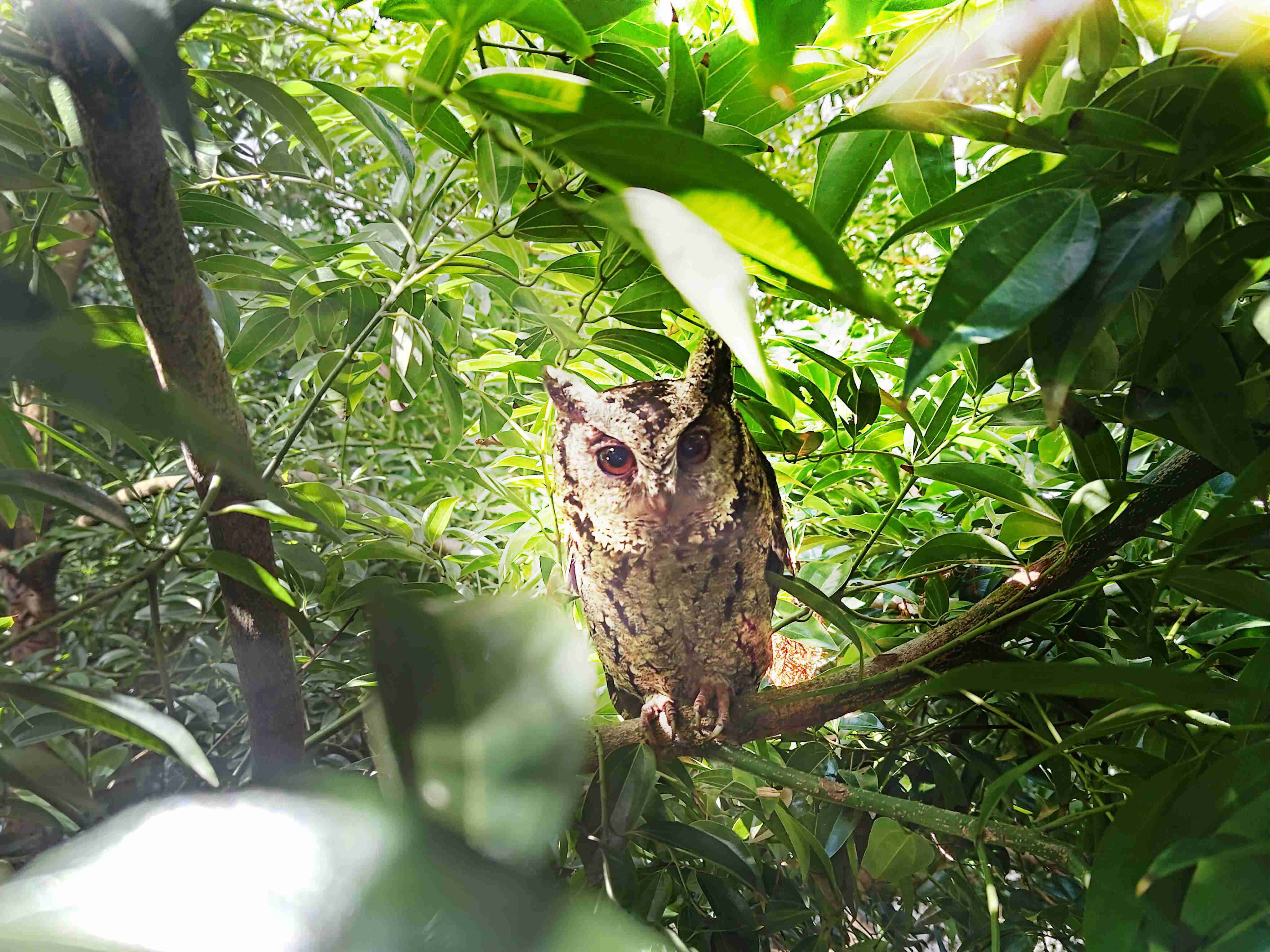 william威廉中文官网致力提倡净零绿生活，，16年以来在全球各厂区植树逾百万棵，，，造就各厂区树木蔚然成林，，，犹如森林工厂，，，成为许多生物的栖息地